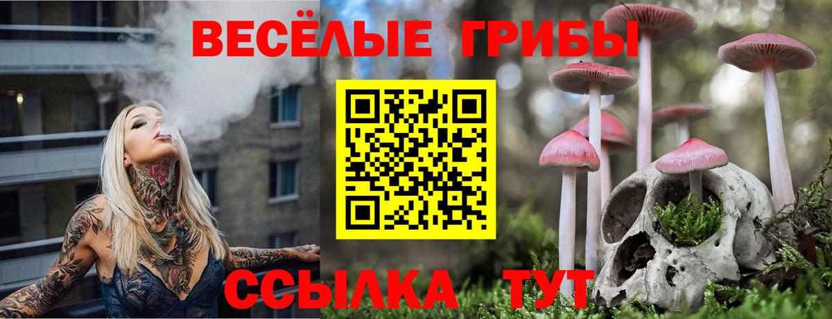 Ленинск-Кузнецкий  Галлюциногенные грибы Psilocybine cubensis  Галлюциногенные грибы ЛСД  закладки  Вход с VPN 